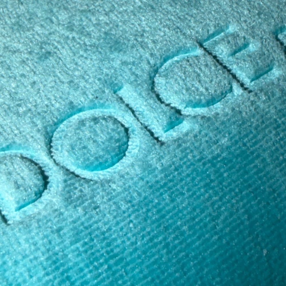 New Dolce and Gabbana Small Turquoise Velvet Pouch! Safe inside for sunnies! - Picture 13 of 13